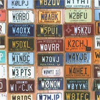 Vintage American License Plate