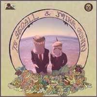 Ty Segall & Mikal Cronin: Reverse Shark Attack LP