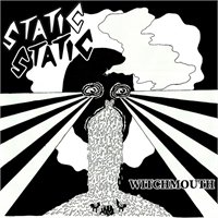 Wizzard Sleeve / Static Static split 7"